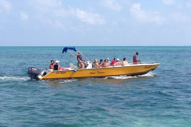 3 Hours Barrier Reef Tour in Caye Caulker, Belize - Tour Highlights