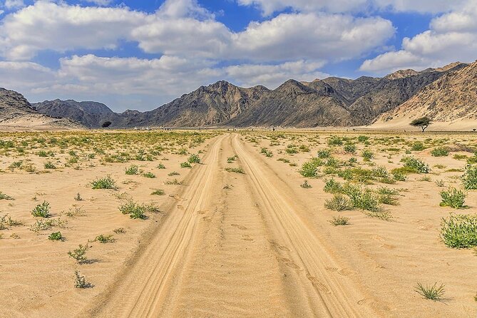 3 Hours Morning Quad Bike Adventure Desert Safari From Marsa Alam - Adventure Itinerary