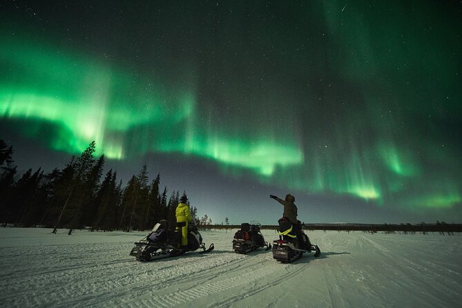 3 Hours Snowmobiling Under Auroras and Night Sky - Overview and Safety