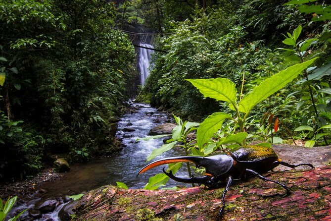 3-in-1 Monteverde Cloud Forest Waterfalls, Wild Trekking and Horseback Riding - Tour Overview