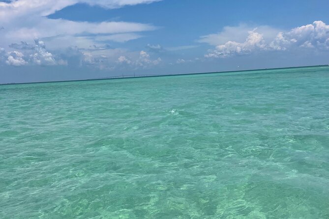 4.5 Hour Private Snorkeling, Island Hoping, Dolphin and Shelling - Tour Details