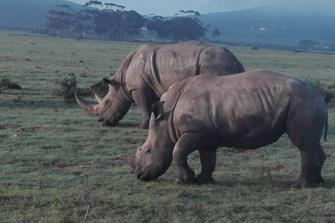 4 Day Garden Route Adventure & Safari - Pricing and Guarantee