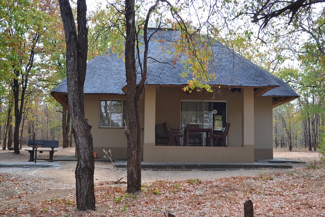 4-Day Hluhluwe Imfolozi and St Lucia Safari From Durban - Safari Highlights