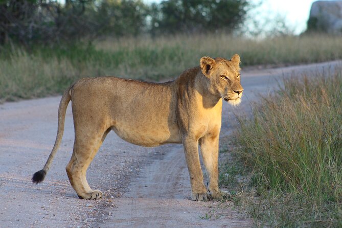 4 Day Private Kruger Under Canvas Safari - Booking and Pricing Information