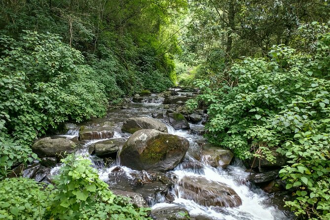 4-Day Private Natal Midlands Falls to Falls Tour - Tour Highlights