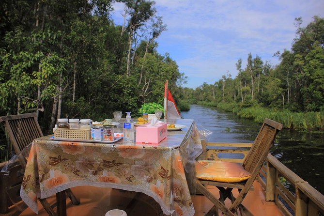 4-Day Private Orangutan and Bornean Primates Tour From Pangkalanbuun - Tour Price and Details