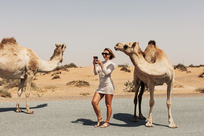 4-Day Private South Desert Tour From Agadir Ending in Marrakech - Overview of the Tour