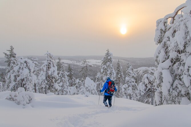 4-Day Small-Group Snowshoe Trek From Rovaniemi - Itinerary Highlights
