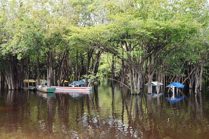 4 Days Amazon Jungle Adventure Tour - Tour Itinerary Highlights