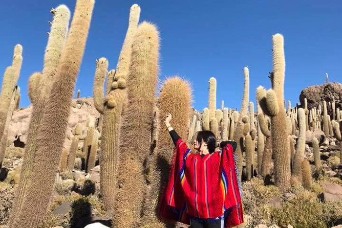4 Days Bolivia Private Luxury Tour With English Guide From La Paz Bolivia - Itinerary Details