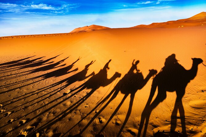 4 Days Sahara Desert Tours From Marrakech to Fes - Transportation and Accommodation Details
