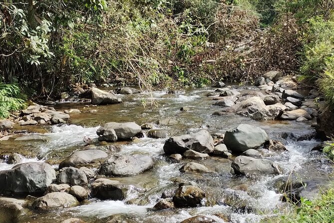 4 Hours Private Magic Pance River Tour in Cali Colombia - Tour Details