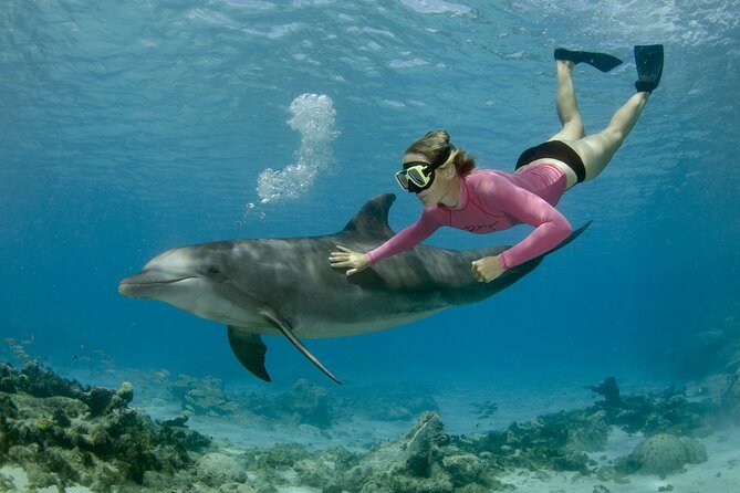 4 Hours Private Speed Boat Snorkeling With Dolphins Trip, Water Sport - Hurghada - Trip Details