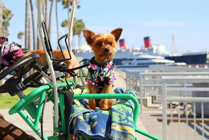 4-Wheel Surrey Cycle Rental in Long Beach Shoreline Village - Experience Details