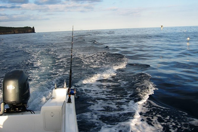 4h Half-Day Amazing Private Coastal Fishing - Overview and Experience