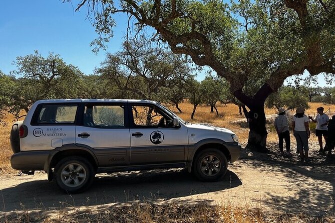 4x4 Cork Tour With Optional Lunch - Tour Highlights