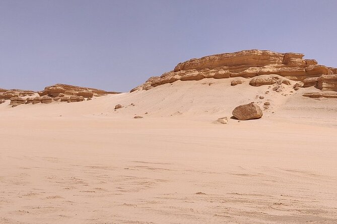 4x4 Desert Safari, Sandsurf, and Camel Ride From Cairo With Lunch - Tour Details