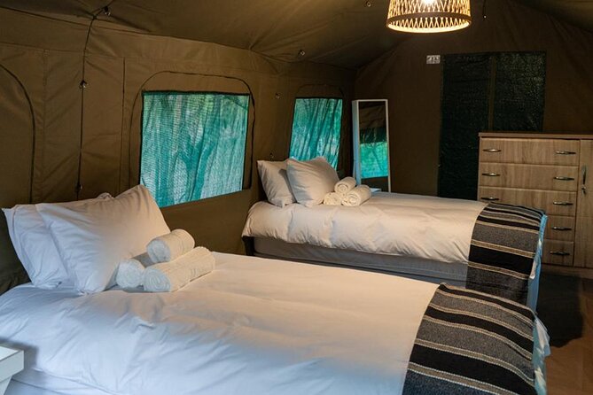 5 Day Kruger Glamping Adventure With Transport - Transportation to and From Kruger National Park