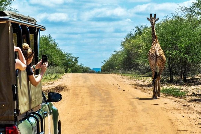 5 Day Kruger National Park and Panorama Route Safari - Safari Itinerary