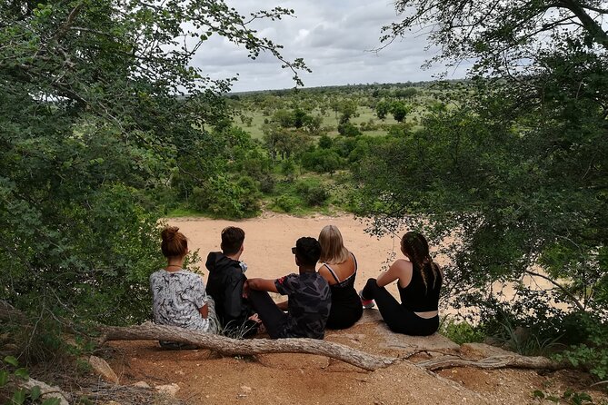 5 Day Kruger National Park Tour - Pricing and Guarantee