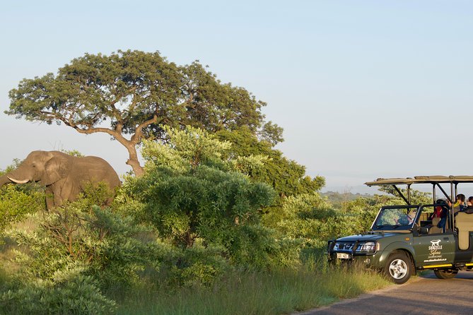 5-Day Kruger Park Safari & Panoramic Tour Combo Including Breakfast and Dinner - Day 1: Shuttle, Sunset Safari, and Accommodation