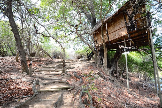 5 Day Lodge and Treehouse Kruger National Park Safari - Wildlife and Game Reserves