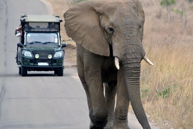 5 Day Private Luxury Garden Route Safari From Port Elizabeth - Accommodation Details