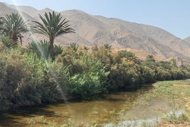 5-Day Private Tour to Sahara and Ergchebbi From Marrakech - Day 1: Marrakech to Ouarzazate