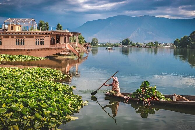 5 Days and 4 Nights Private Tour of Kashmir - Tour Highlights