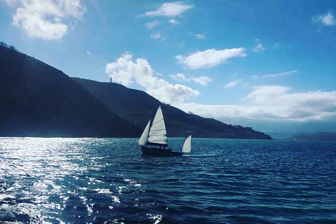 5 Days Private Guided Tour in Garden Route - Day 1: Arrival and Exploring Knysna