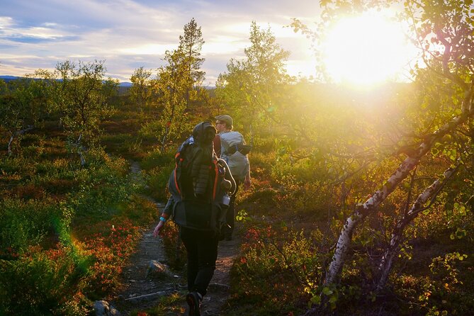 5 Days Semi-Self-Guided Tour in Northern Lapland - Tour Highlights
