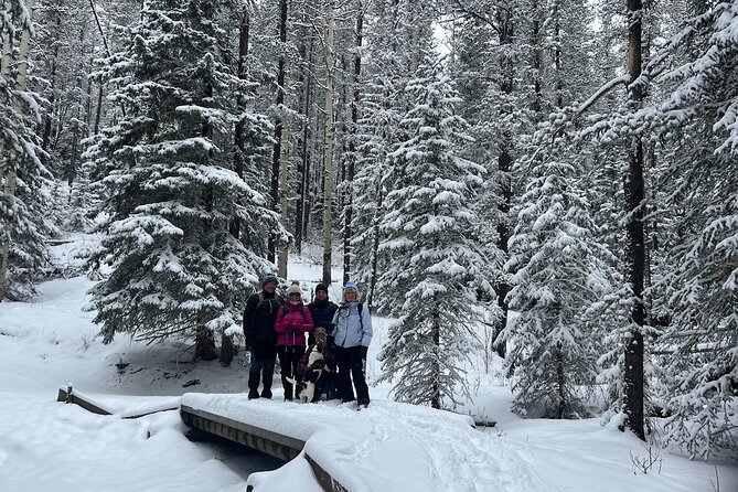 5 Hours Winter Wonderland Guided Hike to Fullerton Loop - Duration and Pricing