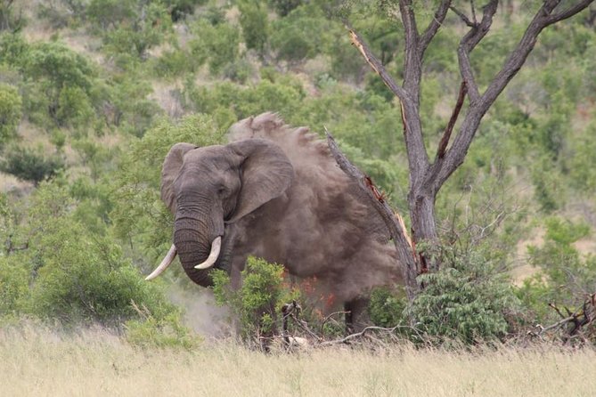 5Days Blyde River Canyon and Kruger National Park Overnight Tour and Safaris - Overview and Features