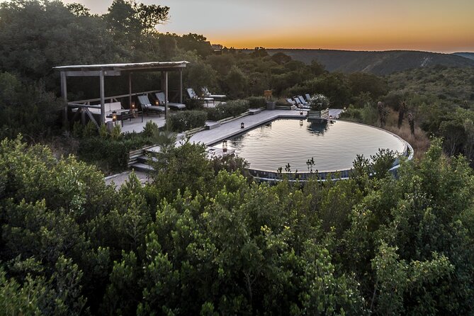 6 Day Big 7 Safari At Kariega Game Reserve Ukhozi Superior Lodge - Safari Overview