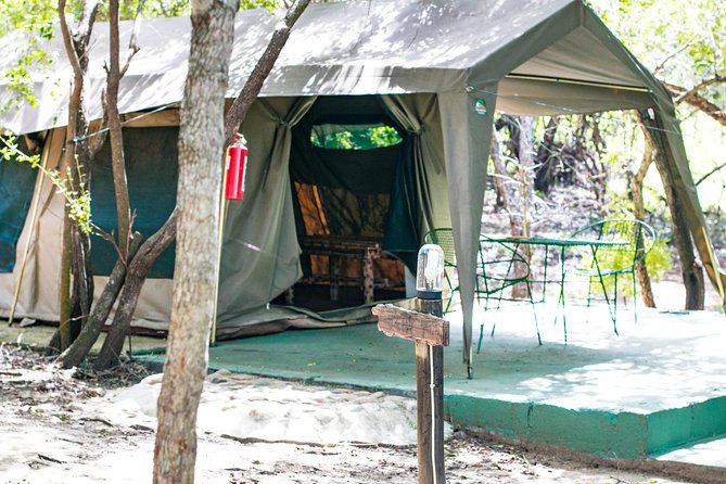6 Day Budget Kruger National Park Safari - Itinerary Overview