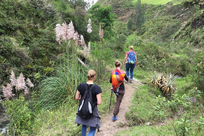 6-Day Hiking Ecuadorian Andes - Tour Highlights
