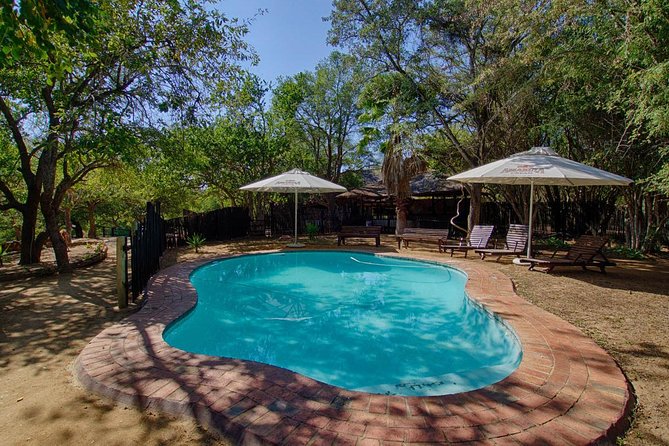 6 Day Lodge and Treehouse Kruger National Park Safari - Wildlife Encounters