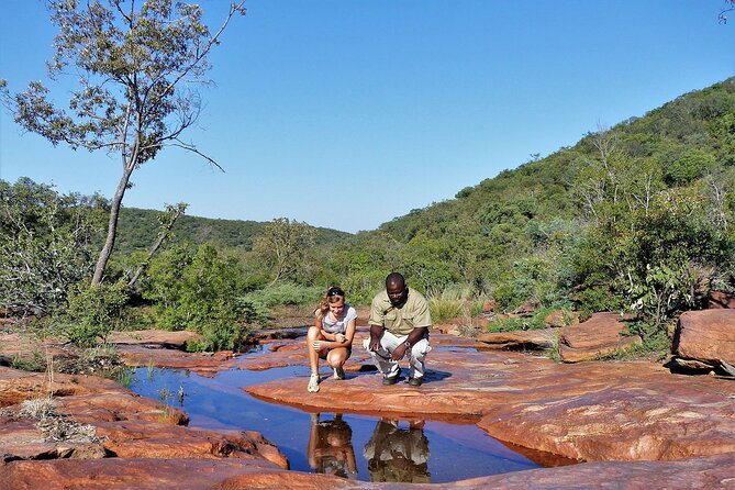 6-Day Safari At Royal Morubisi Lodge, South Africa - Safari Highlights