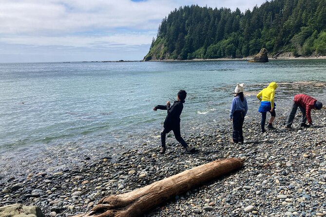 6-Day Young Adventurers Summer Camp in Olympic National Park - Daily Itinerary