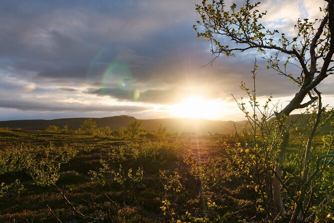 6-Hour Efatbiking in Taiga Forest - Whats Included and Activity Details