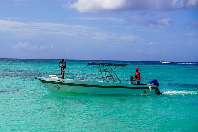 6 Hour Private Saona Island Tour With Snorkeling - Pickup and Meeting Points