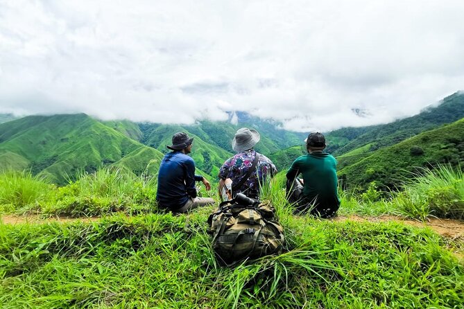 7 Day Adventure and Wildlife Tour in Drake Bay and Osa - Wildlife Encounters
