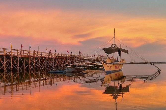 7 Days in Philippines: Bohol and Siquijor - Bohol: Island Paradise