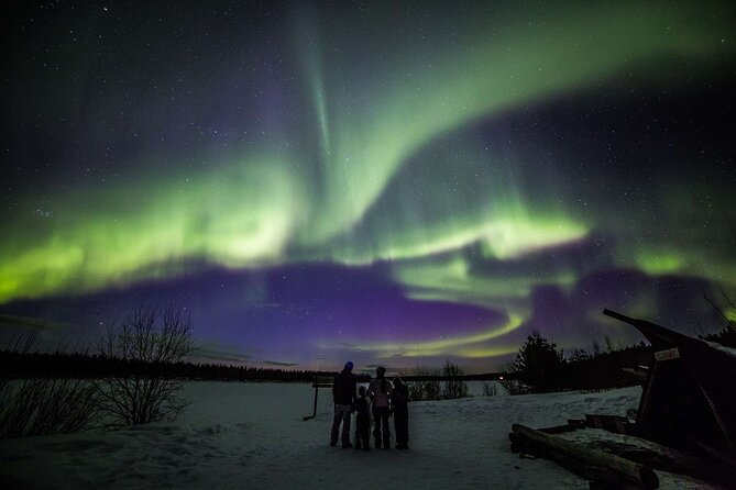 7 Days Northern Lights Holiday in Lapland - Tour Highlights