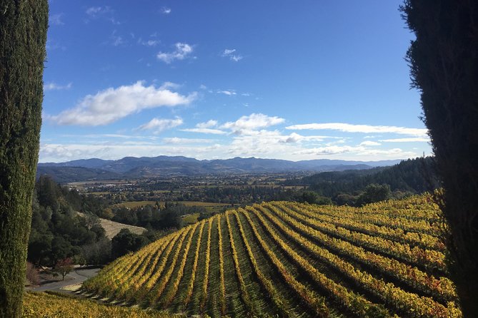 8-Hours Napa Wine Tour From San Francisco to Napa CA , Sedan up to 4 People - Tour Itinerary Highlights