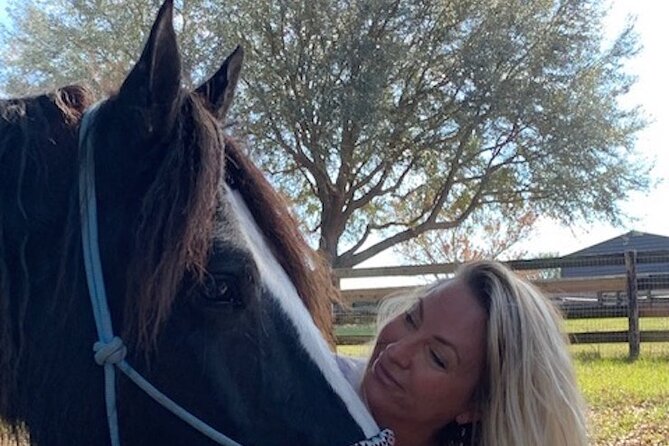 90 Minutes of Mindfulness With Draft Horses in Florida - Location Details
