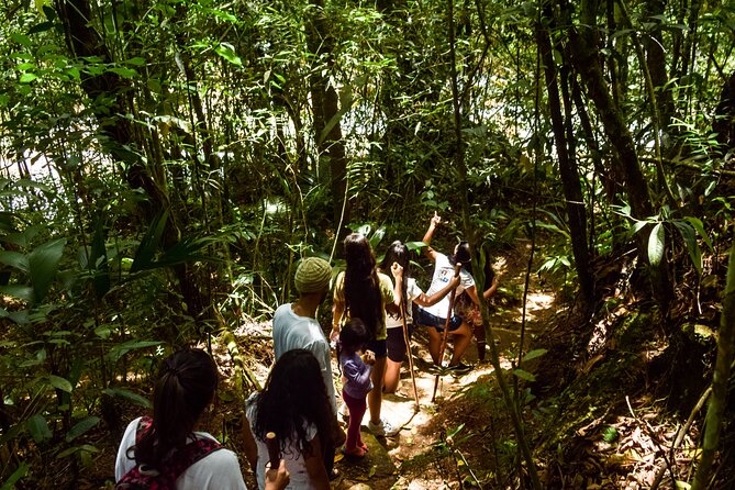 A Day to Enjoy Nature and Have an Adventure in the Jordan River - Location and Starting Time