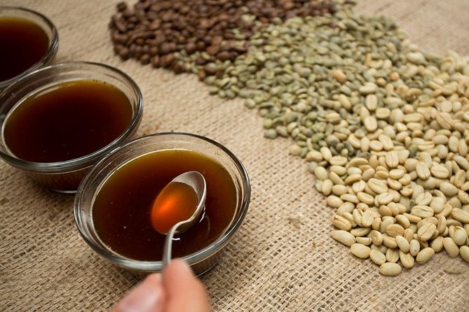 A Taste of Aquiares - 2 Hours Coffee Tour - Tour Overview