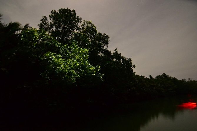 Abatan or Maribojoc Firefly Watching - Location Details