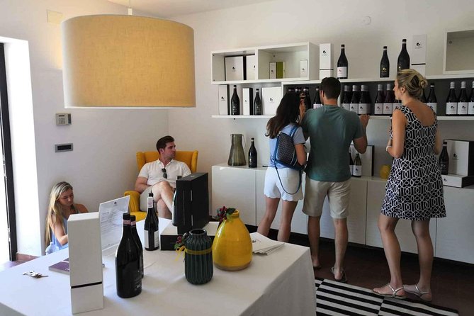 Abruzzo Wine Tasting & Winery Visit - Participant Information